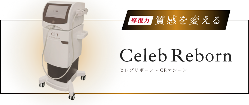 修復力 質感を変える Celeb Reborn